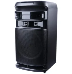اسپیکر خانگی ایستاده Verity V-PS212 + میکروفون
