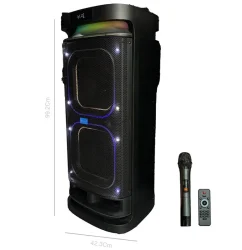 اسپیکر چمدانی بلوتوثی وریتی V-PS2310 + میکروفون و ریموت کنترل